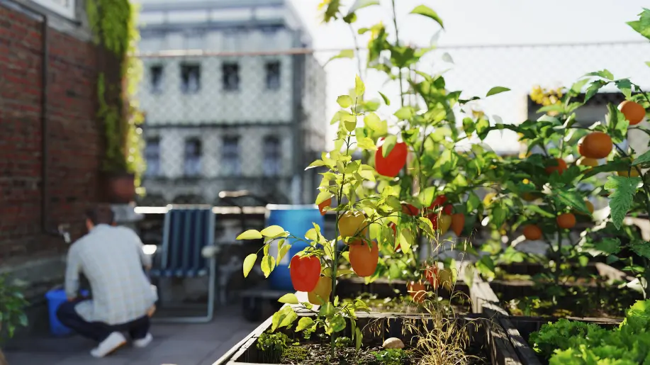 By integrating innovative AI tools like PeakMet, urban gardeners can further enrich their gardening experience, ensuring their little patches of green thrive in the heart of the concrete jungle.